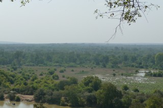 Aussicht auf den Mole National Park