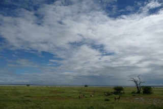 Etosha Nationalpark -  weiter Blick und tiefe Wolken, ein typsicher Anblick in Namibias Morden