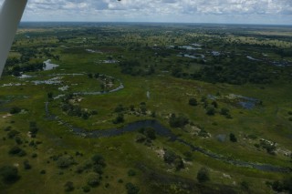 Okawango Delta aus der Luft