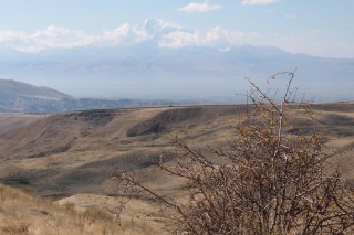 Ararat